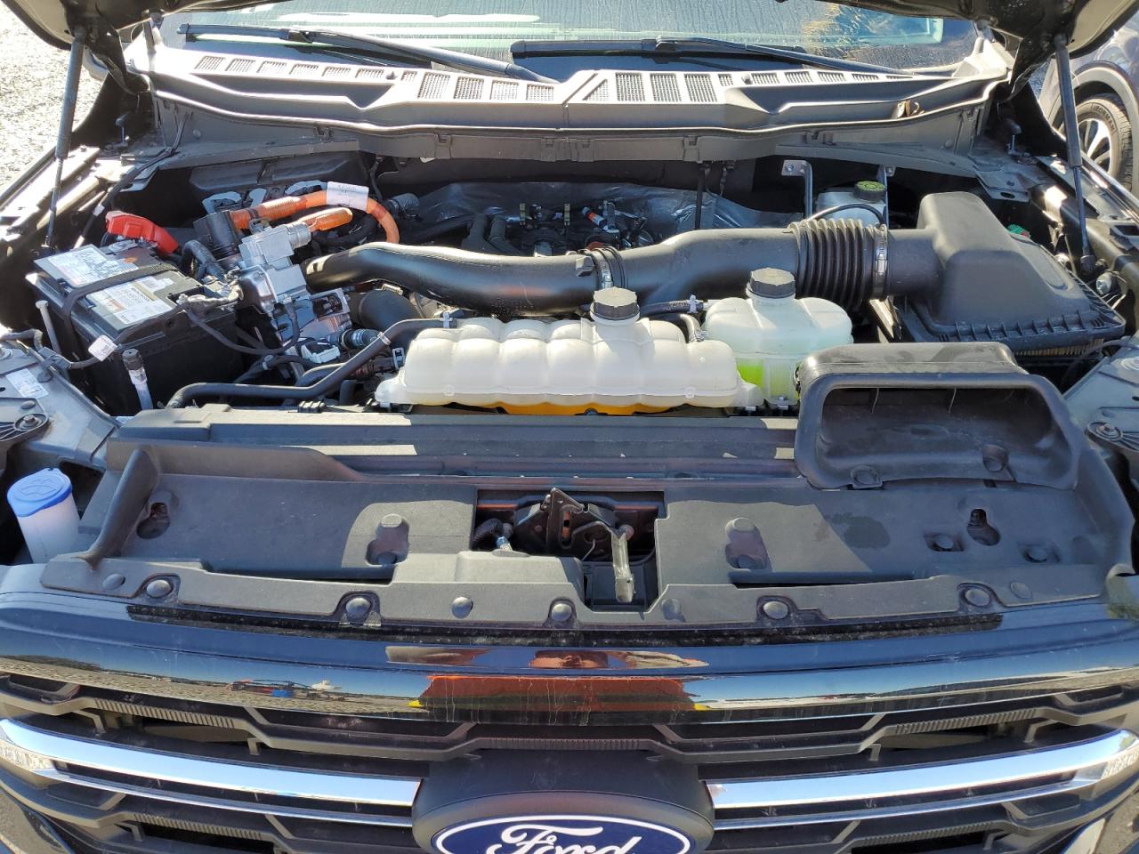 2024 FORD F150 XLT VIN:1FTFW3LD9RFA25076