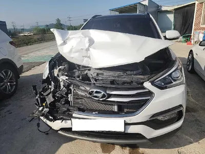 2018 Hyundai Santa FE KMHSW81UDJU822643 VIN:KMHSW81UDJU822643