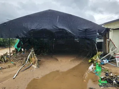 2020 Hyundai Santa FE NONE VIN: