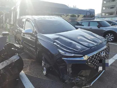 2019 Hyundai Santa FE KMHS381ADKU074587 VIN:KMHS381ADKU074587