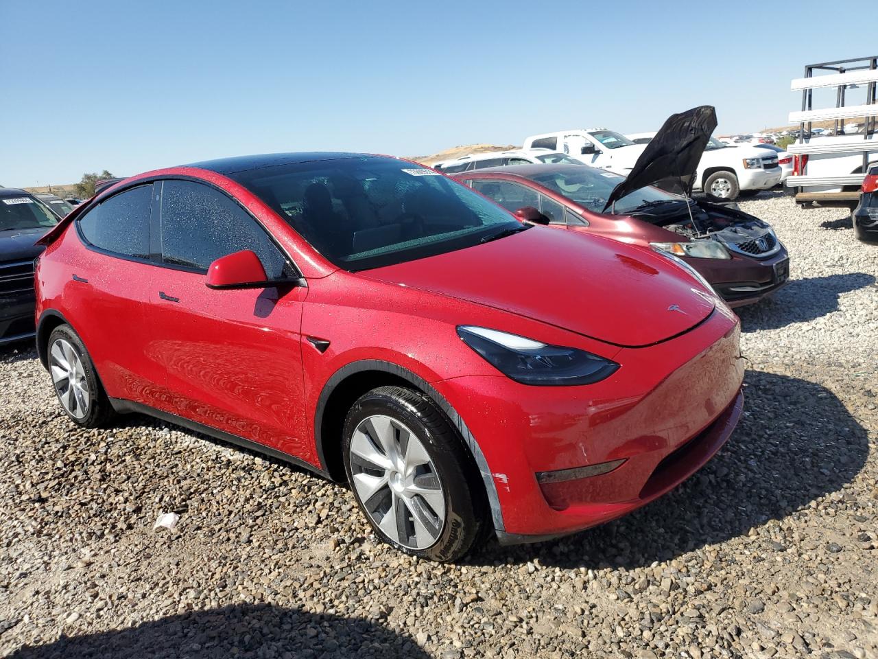 2023 TESLA MODEL Y  VIN:7SAYGDEEXPF714596