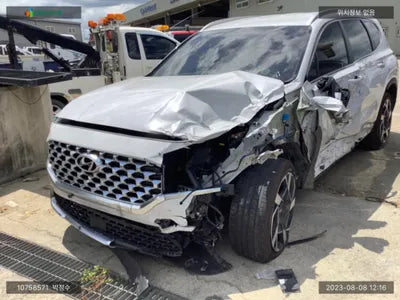 2020 Hyundai Santa FE KMHS381HGMU310238 VIN:KMHS381HGMU310238