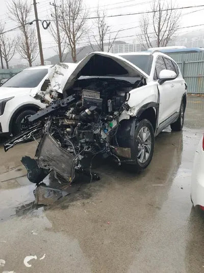 2019 Hyundai Santa FE VIN: