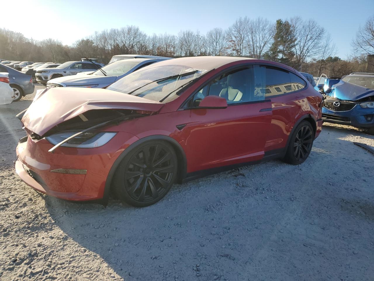2023 TESLA MODEL X  VIN:7SAXCDE5XPF374664