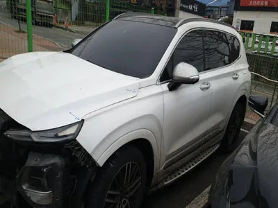 2019 Hyundai Santa FE KMHS581CDKU124309 VIN:KMHS581CDKU124309