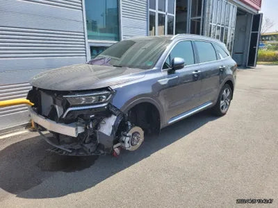 2020 Kia Sorento KNARM81GBMA011799 VIN:KNARM81GBMA011799