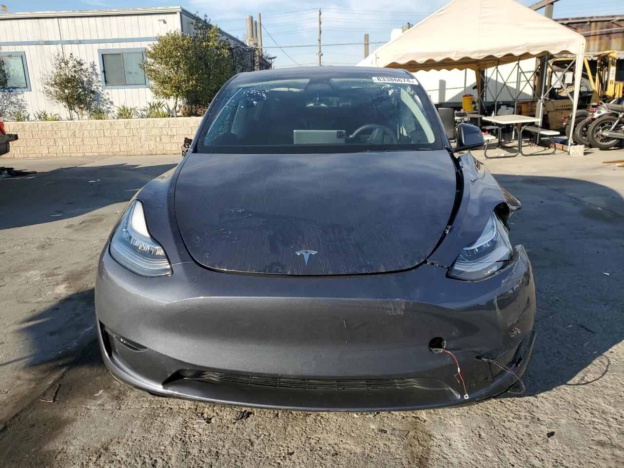 2023 TESLA MODEL Y  VIN:7SAYGDEE2PA103622