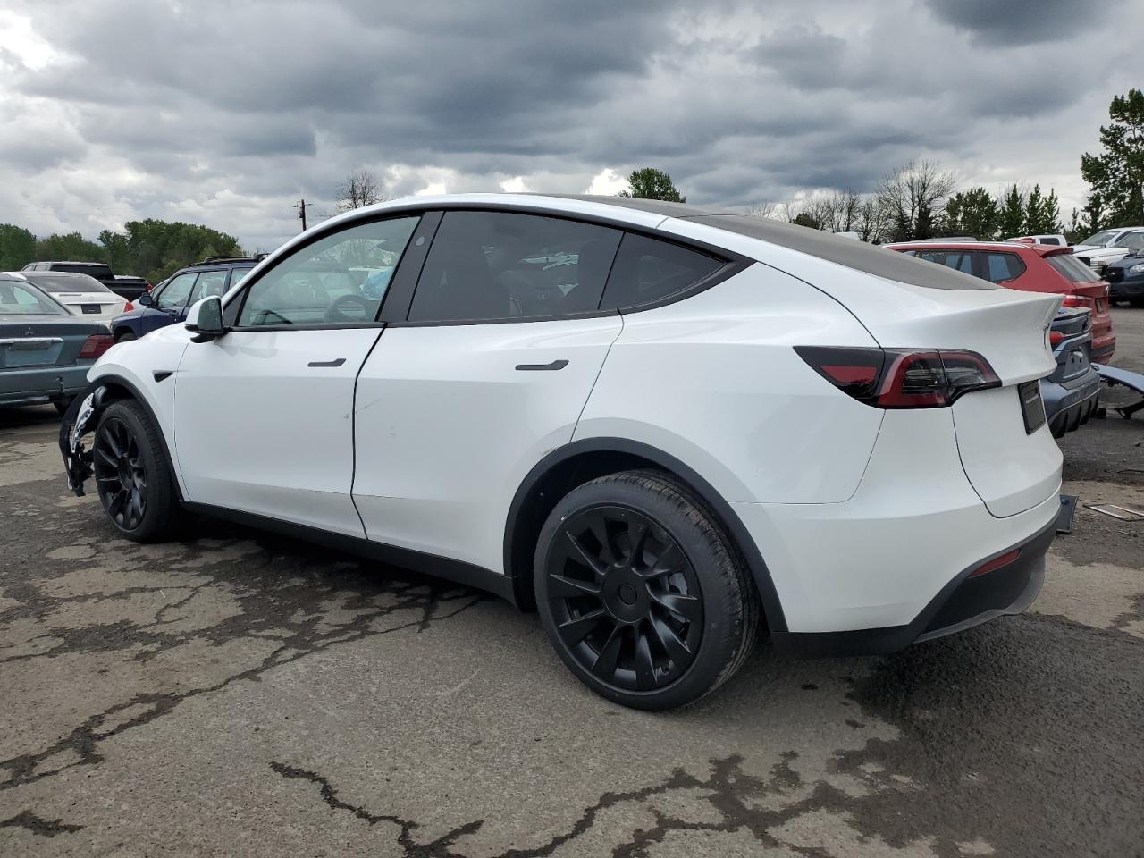 2024 TESLA MODEL Y  VIN:7SAYGAEE6RF985642