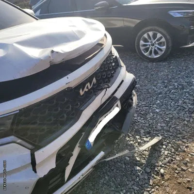 2023 Kia Sorento KNARH81FGPA185808 VIN:KNARH81FGPA185808