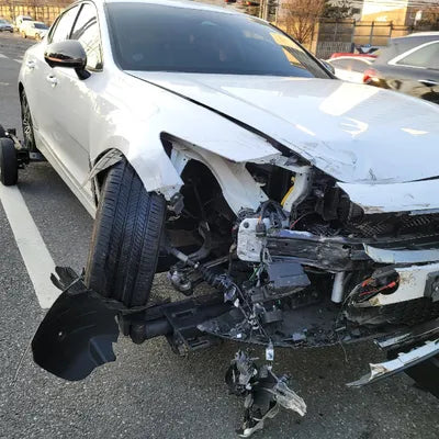 2021 Kia Stinger KNAE351DDMS099818 VIN:KNAE351DDMS099818