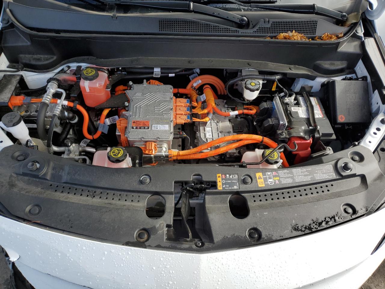 2023 CHEVROLET BOLT EUV PREMIER VIN:1G1FZ6S01P4135385