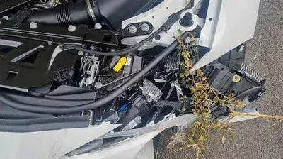 2024 BMW M3 WBS41AY0XRFP79306 VIN:WBS41AY0XRFP79306