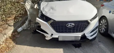2017 Hyundai Tucson KMHJ3815GJU481733 VIN:KMHJ3815GJU481733