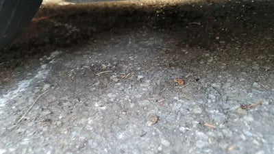 2015 Mercedes-Benz CLA 250 WDDSJ4GB9FN280765 VIN:WDDSJ4GB9FN280765