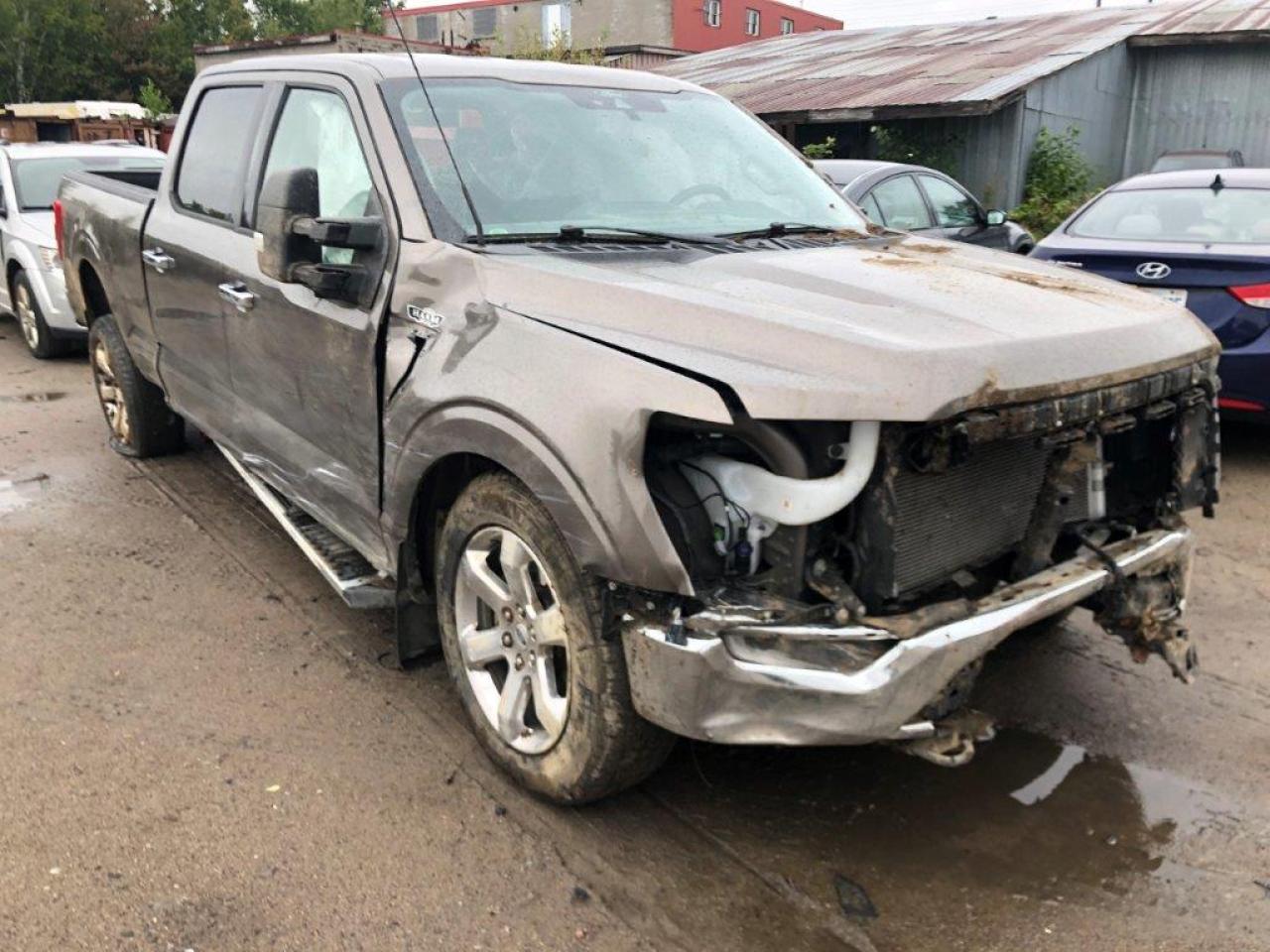 2022 FORD F150 SUPERCREW VIN:1FTFW1E51NFB03483