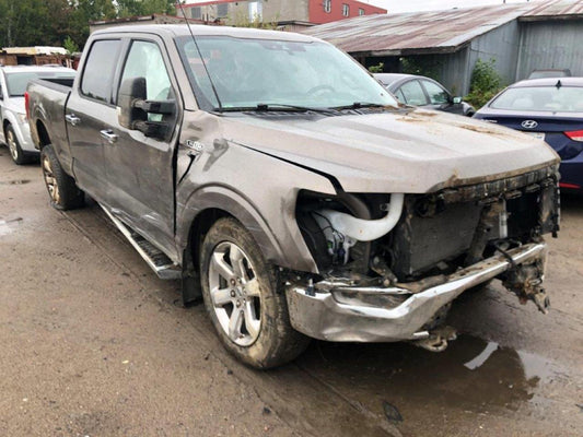 2022 FORD F150 SUPERCREW VIN:1FTFW1E51NFB03483