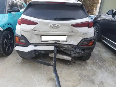 2020 Hyundai Kona KMHK381EGLU036344 VIN:KMHK381EGLU036344