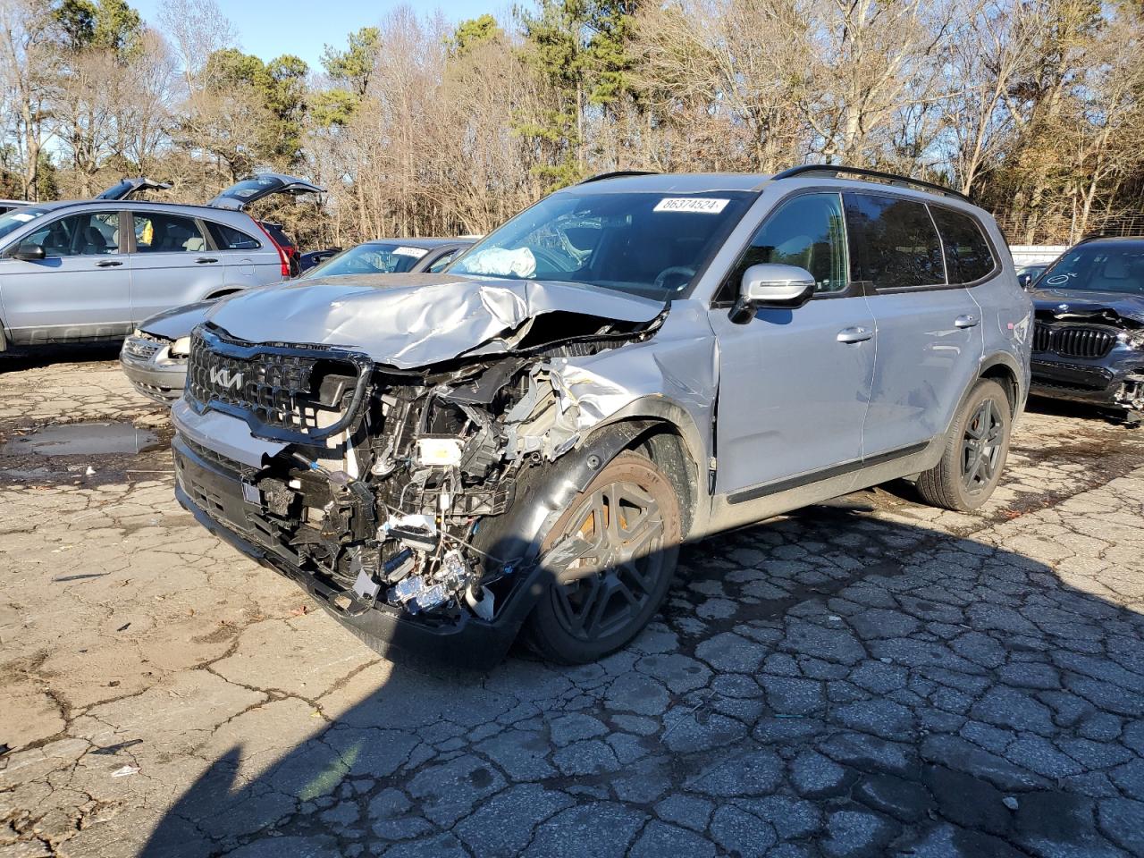 2024 KIA TELLURIDE SX VIN:5XYP5DGC1RG541895