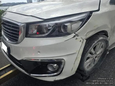 2015 Kia Carnival KNAMC81ABGS095596 VIN:KNAMC81ABGS095596