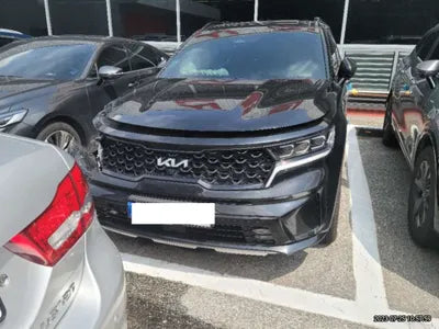 2023 Kia Sorento KNARH81GBPA150924 VIN:KNARH81GBPA150924