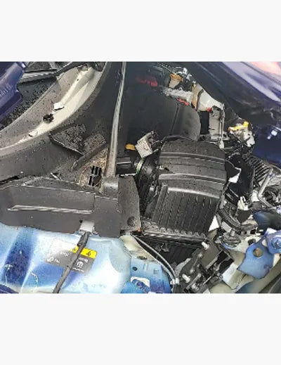 2021 Jeep Renegade 1C4NJCDB5MPN31191 VIN:1C4NJCDB5MPN31191