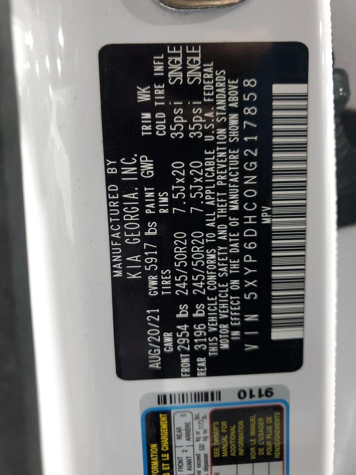 2022 KIA TELLURIDE S VIN:5XYP6DHC0NG217858