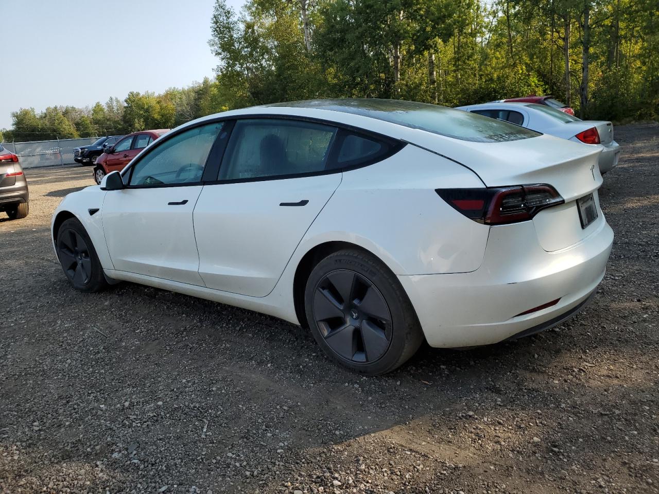 2023 TESLA MODEL 3  VIN:5YJ3E1EA7PF499025