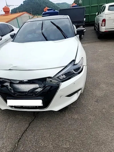 2017 Nissan Maxima 1N4AA6AP7HC417194 VIN:1N4AA6AP7HC417194