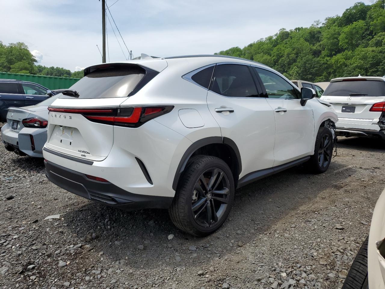 2023 LEXUS NX 450H VIN:JTJHKCFZ9P2019601