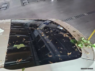 2017 BMW 320 WBA8T3105HG799641 VIN:WBA8T3105HG799641