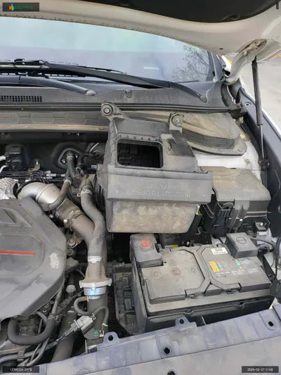 2019 Hyundai Santa FE KMHS381ABKU141821 VIN:KMHS381ABKU141821