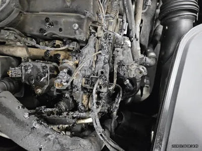 2019 BMW 530 WBAJD9102KB278446 VIN:WBAJD9102KB278446