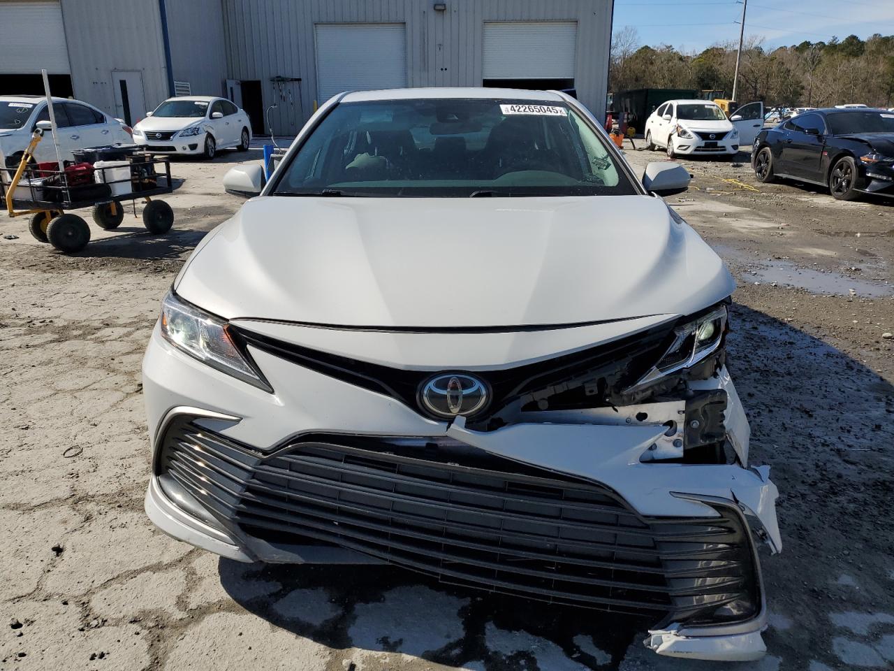 2023 TOYOTA CAMRY LE VIN:4T1C11AK0PU123179