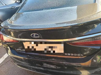 2020 Lexus ES 300 VIN: