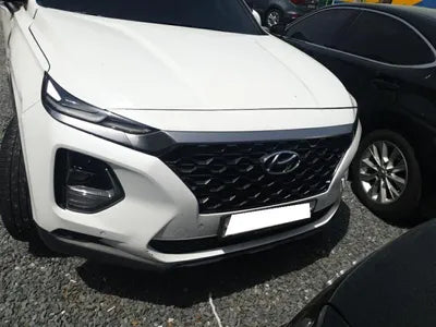 2019 Hyundai Santa FE KMHS381ABKU176707 VIN:KMHS381ABKU176707