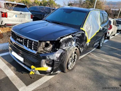 2022 Kia Mohave KNAKN814DNA236233 VIN:KNAKN814DNA236233