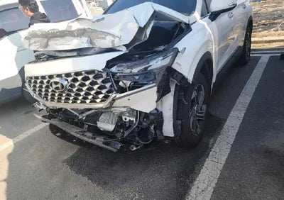 2022 Hyundai Santa FE KMHS281LGNU446410 VIN:KMHS281LGNU446410