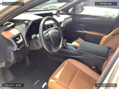 2019 Lexus UX 250 JTHU9JBH6K2014202 VIN:JTHU9JBH6K2014202
