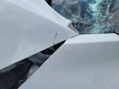 2020 Kia Carnival KNANC81BBMS004700 VIN:KNANC81BBMS004700