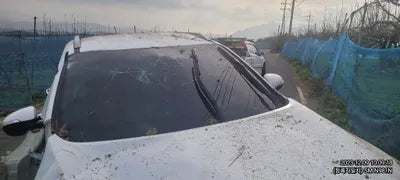 2017 Kia Sorento 339KMKNAPH81ABHA3 VIN:339KMKNAPH81ABHA3