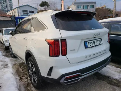 2022 Kia Sorento KNARK81GDNA070823 VIN:KNARK81GDNA070823