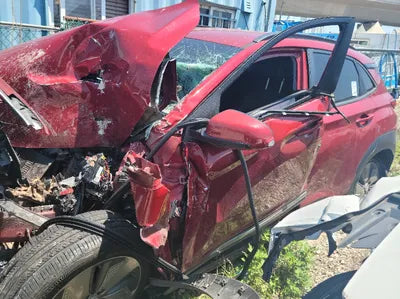 2019 Hyundai Kona KMHK381GFKU013210 VIN:KMHK381GFKU013210
