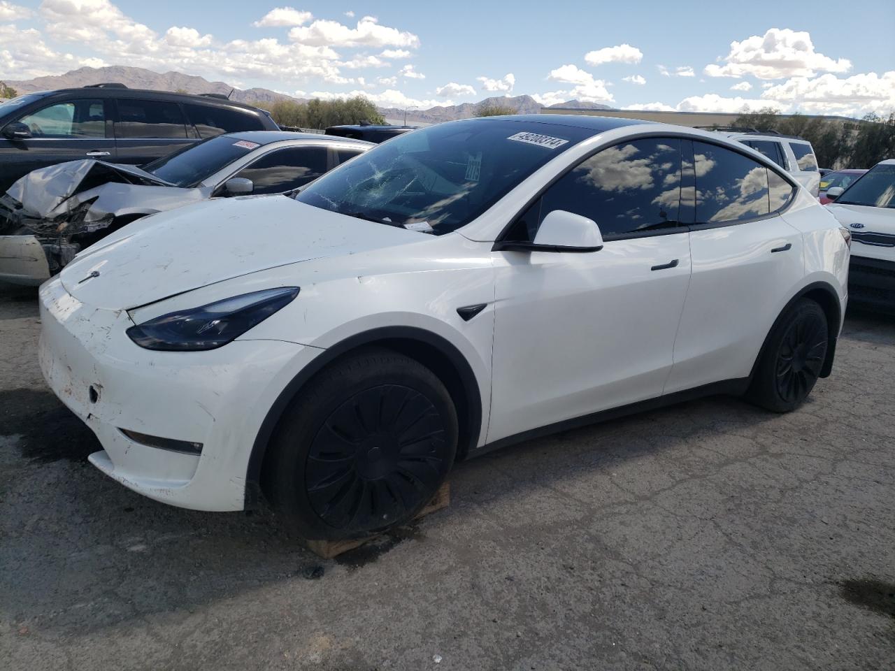 2023 TESLA MODEL Y  VIN:7SAYGDEE7PF815529