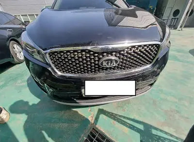 2017 Kia Sorento KNAPH81ABHA295841 VIN:KNAPH81ABHA295841