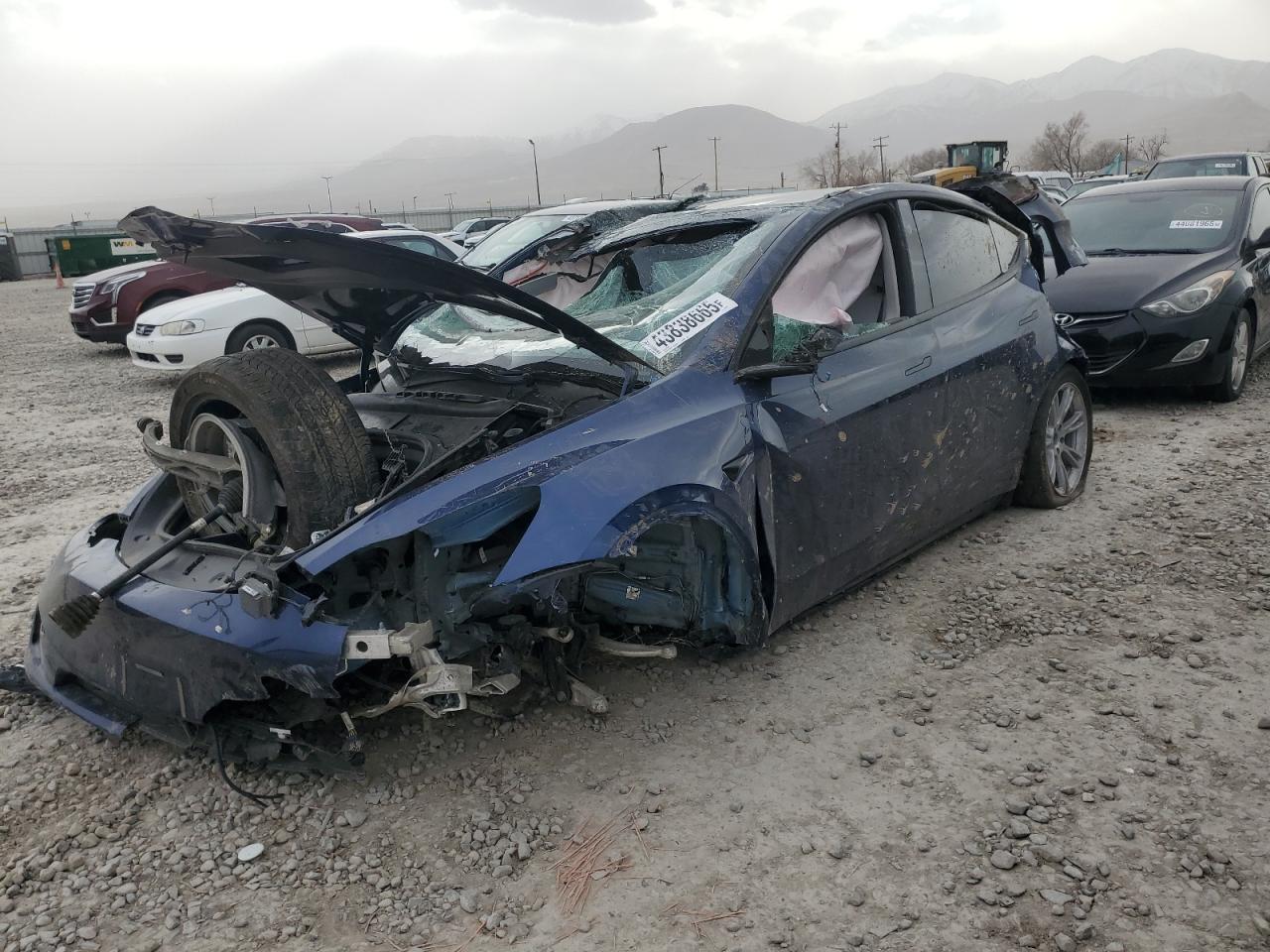 2023 TESLA MODEL Y  VIN:7SAYGDEE7PF946573