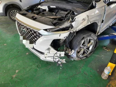 2019 Hyundai Santa FE KMHS581ABLU247207 VIN:KMHS581ABLU247207