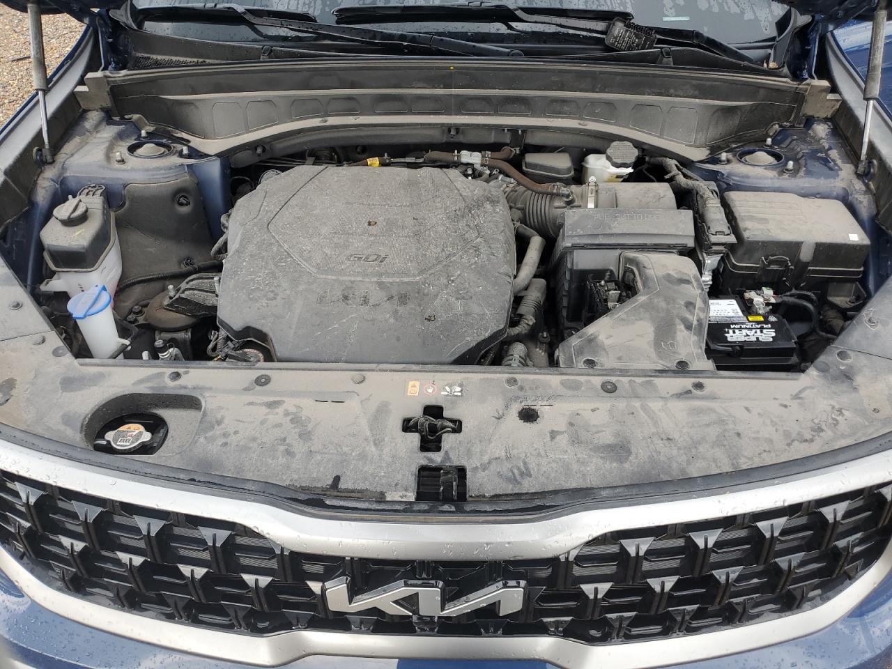 2023 KIA TELLURIDE SX VIN:5XYP5DGC5PG396373
