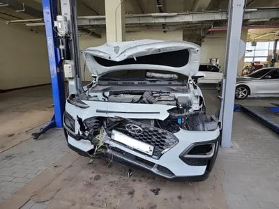 2019 Hyundai Kona KMHK4815GLU492188 VIN:KMHK4815GLU492188