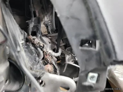 2021 Kia Sorento KNARH81BHMA048343 VIN:KNARH81BHMA048343