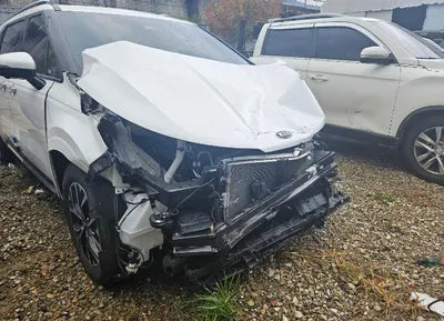 2021 Kia Carnival KNANC81BBMS013742 VIN:KNANC81BBMS013742